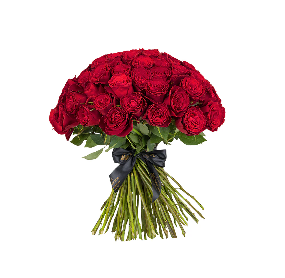 Ambrosia 100 Kisses 100 Red Roses