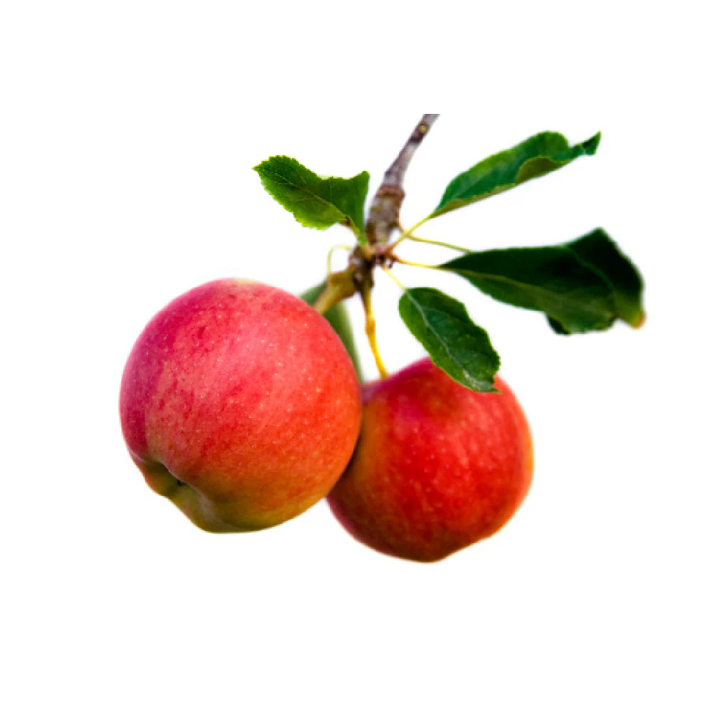 Apple Red Lebanon 500g - Image 2