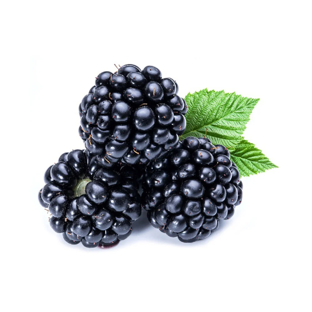Blackberry Mexico 125g Pack