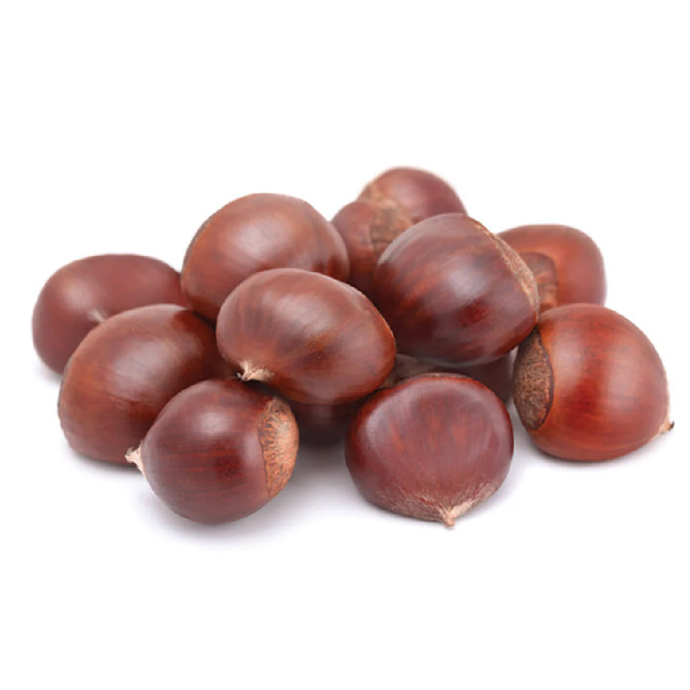 Chestnut Lebanon 500g