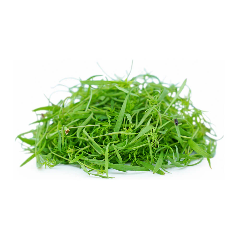 Dill Microgreen Uae 50g Pack