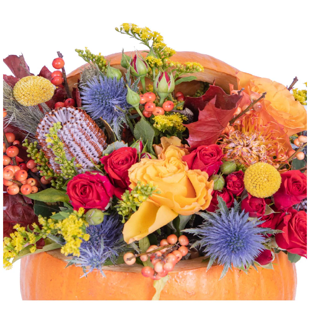 Flower Pumpkin Blossom - Image 3
