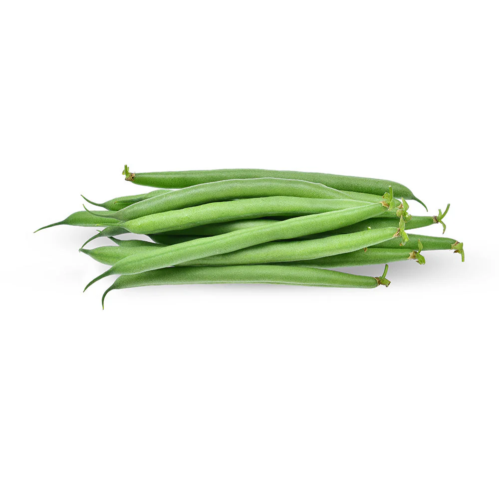 Fresh Beans Lebanon 400g Pack