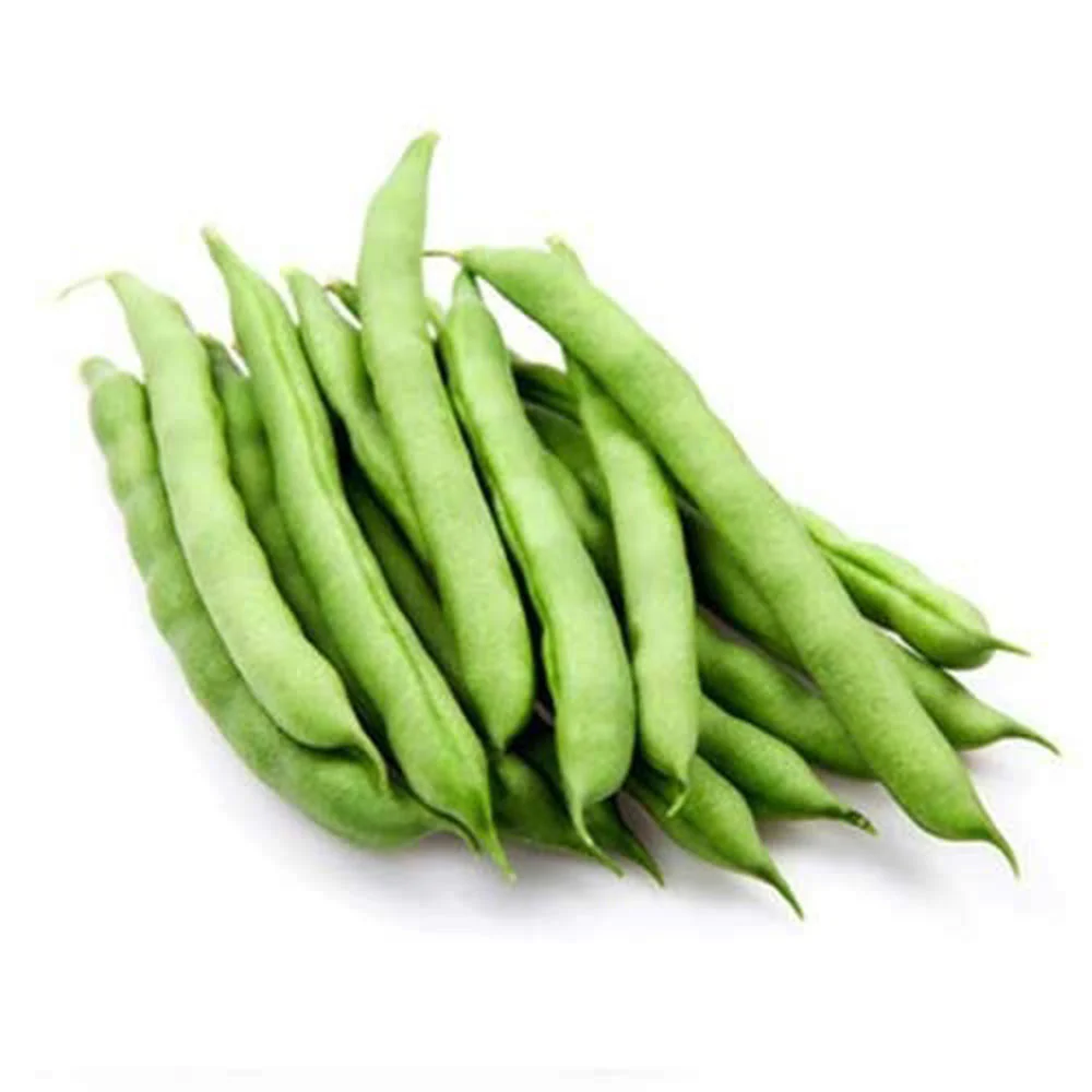 Fresh Beans Lebanon 400g Pack - Image 2