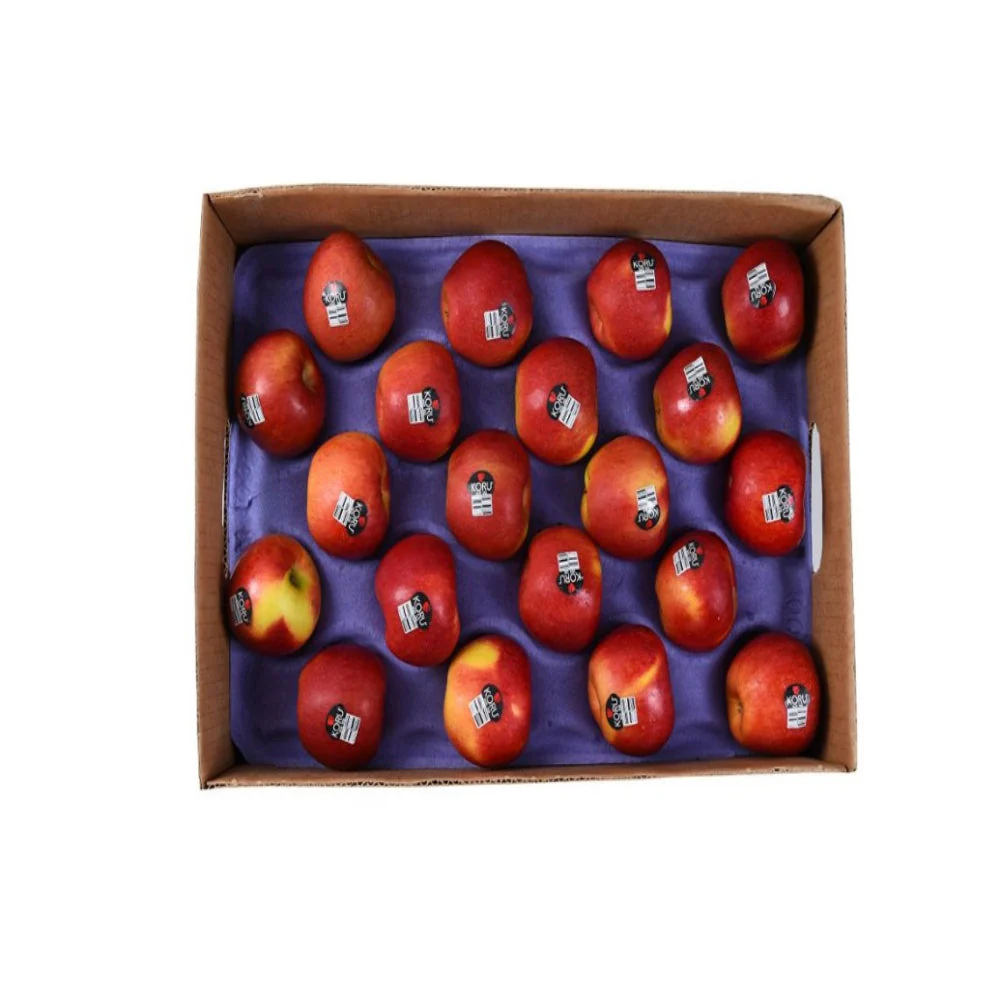 Koru Apple New Zealand 18 Kg Box - Image 3