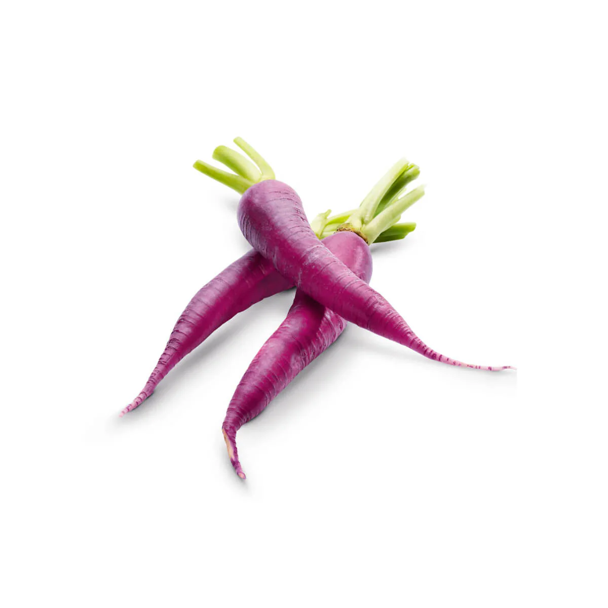 Mini Carrot Top Purple South Africa 200g Pack