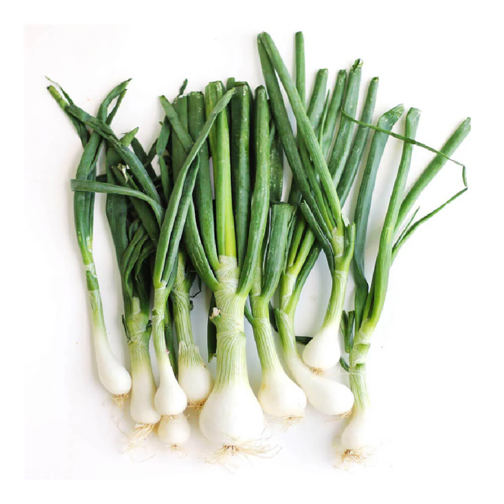 Spring Onion Lebanon 500g - Image 2