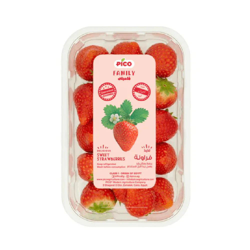 Strawberry Pico Egypt 450g Pack