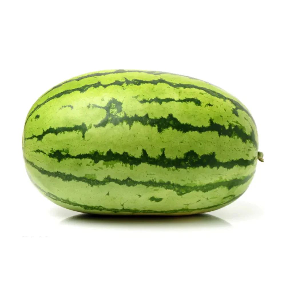 Watermelon Oman Approx 8Kg to 10kg Per Piece