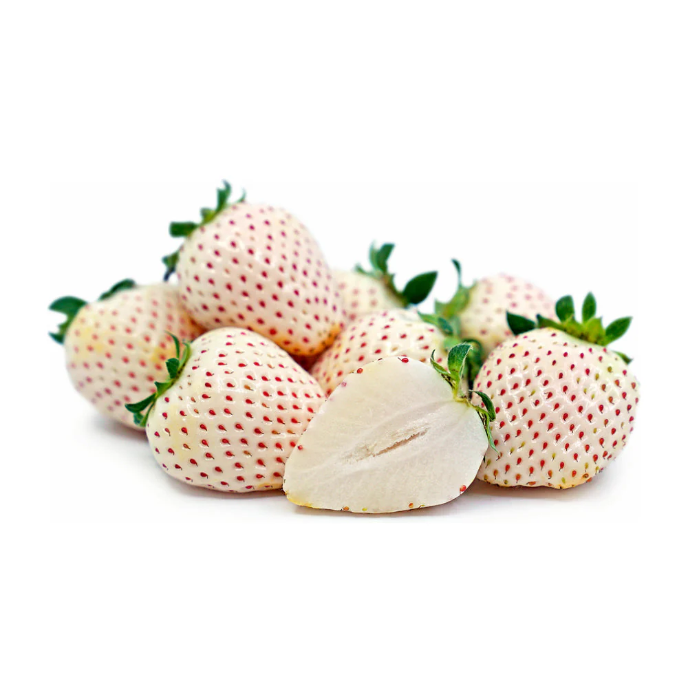 White Berries Netherlands 100g Pack