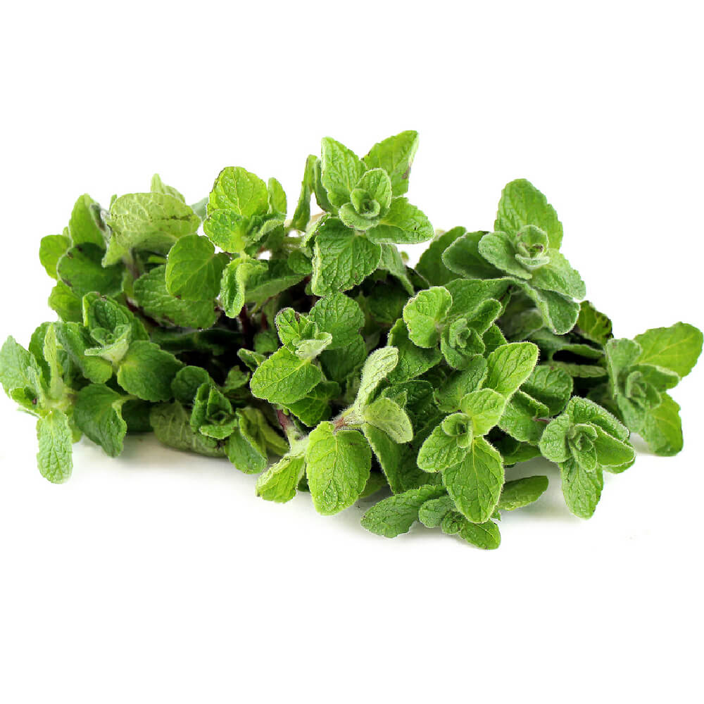 Zaatar Lebanon 250g